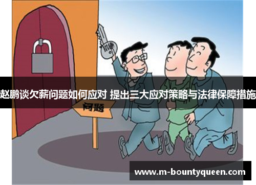 赵鹏谈欠薪问题如何应对 提出三大应对策略与法律保障措施