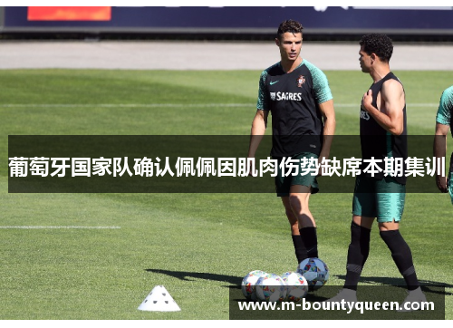 葡萄牙国家队确认佩佩因肌肉伤势缺席本期集训